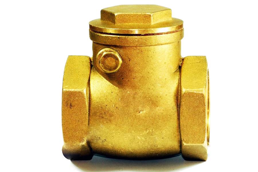 Check valve